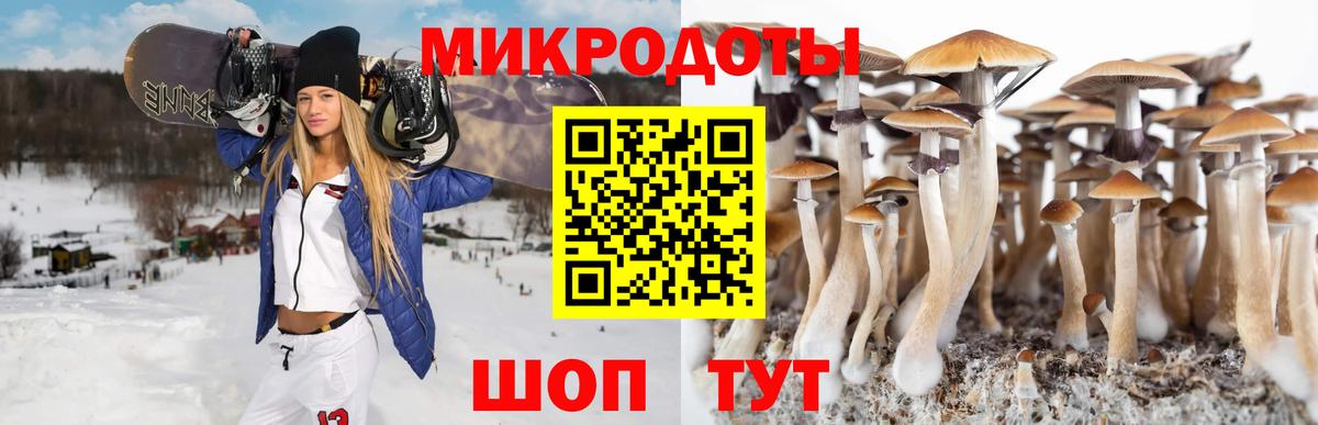 Галлюциногенные грибы ЛСД Дятьково